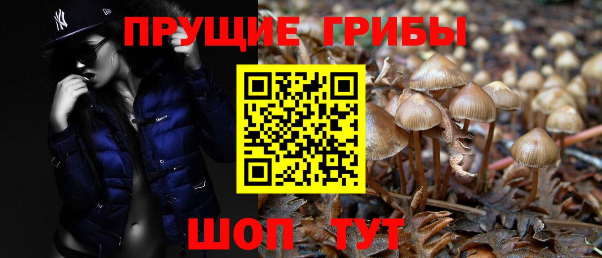 Баксан  Галлюциногенные грибы Psilocybine cubensis  магазин  наркотиков  Вход с VPN 