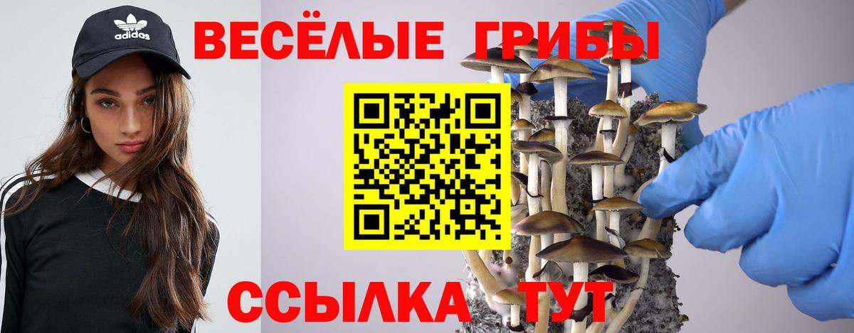 Псилоцибиновые грибы мухоморы Баксан